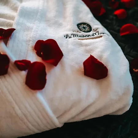 La Maison D Aurore Loft Et Privatif 別荘 *