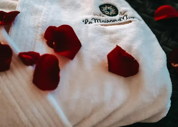 La Maison D Aurore Loft Et Privatif Ferienhaus *